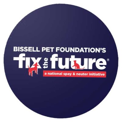 bisselwhite bisselwhite